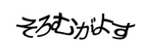 Authentication image